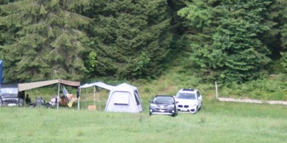 Motorhome parking space - Sarnen - Das Camp Waldrand für max. 4 Fahrzeuge.  - Müller`s Campingplätze